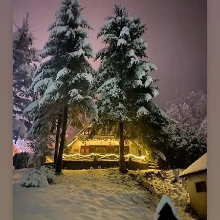 Krnjevic Jastrebac 度假居 Buci