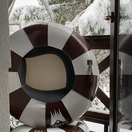 Сasa de vacaciones Krnjevic Jastrebac Buci